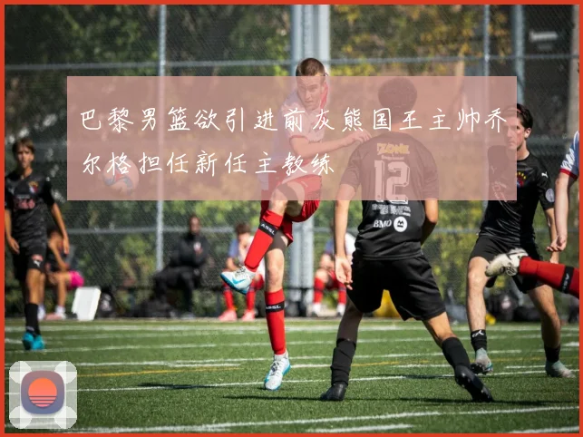 巴黎男篮欲引进前灰熊国王主帅乔尔格担任新任主教练